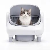 Cumrige Self-Cleaning Litter Box | No Scooping, Easy to Use