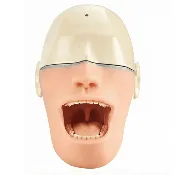 10-Sensor Oral Anesthesia Training Manikin