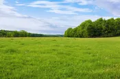 Investment Land Parcel