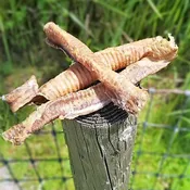 Lamb Trachea 6" and up (10 Pack)