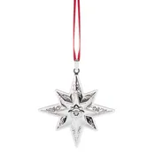 2026 10th Annual Star Ornament
