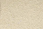 Element Carpet