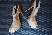 Gucci Snakeskin Stilettos — thecuratorfalmouth.com