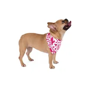 Texas Otomi Hot Pink Pet Bandana