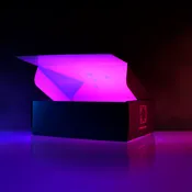 2024 Deluxe Mystery Box