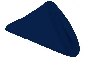 Napkins (Navy Blue)