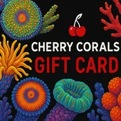 Cherry Corals Gift Card