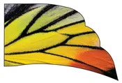 Butterfly Wing Flag (Scalloped Trapezoid)