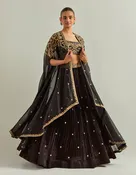 Black Hand Embroidered Lehenga Set