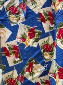Anthurium Royal blue