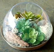10" NAPA TERRARIUM TAUPE