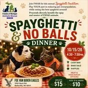 Spayghetti No-Balls Adult Ticket — FMAR