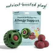 Allergy & Immunity Wellness Pops - Long Lasting Treats for the Pupsicle