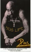 2Pac Hug Life  Window Sticker
