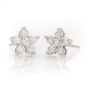 Cluster Fashion Earrings