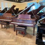 1937 Steinway & Sons S Traditional Grand #289397