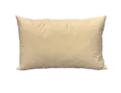 14x22 Feather/Down Pillow Insert