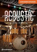 Acoustic Songwriter EZX