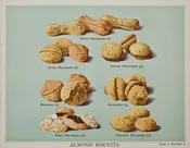 Almond Biscuits: T. Percy Lewis & A. G. Bromley 1903