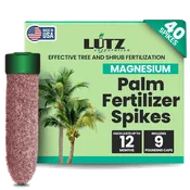Magnesium Spike
