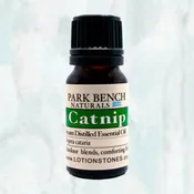 Catnip