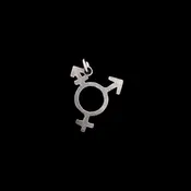 Transgender Symbol Charm