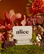 Alice Mushroom Chocolate