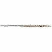 Altus 907SRB Handmade Professional Flute with Classic Headjoint