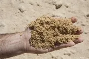 Commercial Concrete Sand
