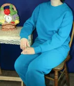 Basic - no imprint sweatsuit. (pullover)