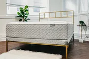 Magnolia Winndom Mattress