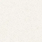 Arctic White Quartz