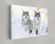 Two Wolves In Cold Winter Animal Canvas Print Wall Art
