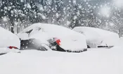 Unlimited Plowing All Season
