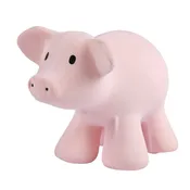Natural Organic Rubber Teether - Pig
