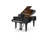 FAZIOLI F212 (7')