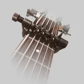 SpiderCapo XXL