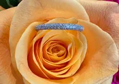 14K White Gold Pavé Natural Diamond Wedding Band