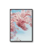 Peach Frame