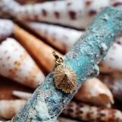 14KT Solid Gold Limited Opihi Shell Necklace — Flotsam & Co.