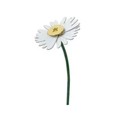 3D Flower Large - Daisy