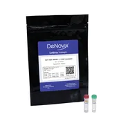 Apoptosis Assay for CellDrop FLxi - 100 Assays