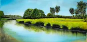 Ashepoo Grass