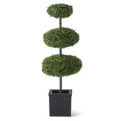 3 Disk Boxwood Topiary Tree