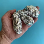 Extra Large Owl Pellet — Mountain Home Biological