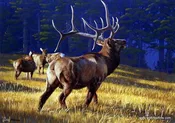 Al Agnew Autumn Ritual - 18" x 13"
