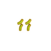 Arc Double Post Earrings - Green