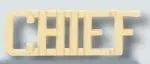 “Chief” Collar Brass, 3/8″, Silver or Gold, Clutch Back, Pair