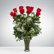 Deluxe Dozen Roses