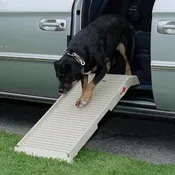 HalfStep&reg; Ramp - PetStep Dog Ramps